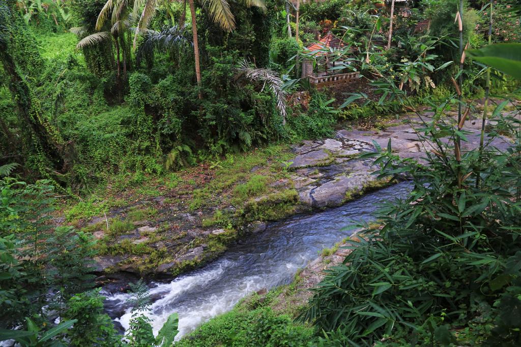 Labak River Hotel By Eps Убуд Екстер'єр фото